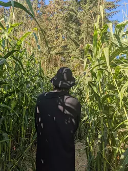 1748968284295.webp 1748968284295.webp