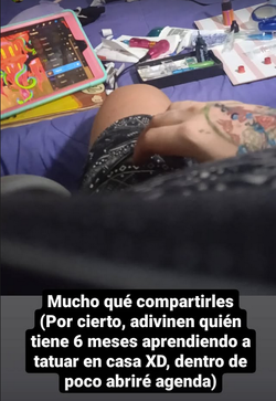 krz_kiwi.webp krz_kiwi.webp