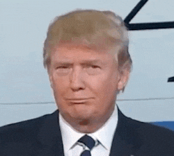 1750285783112.gif 1750285783112.gif