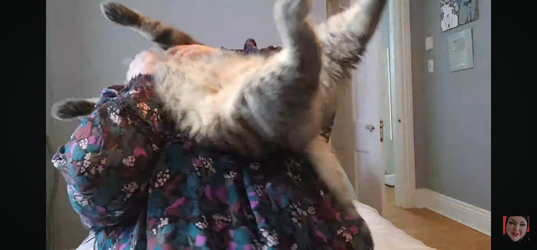Screenshot_20250622_143731_YouTube.webp Screenshot_20250622_143731_YouTube.webp