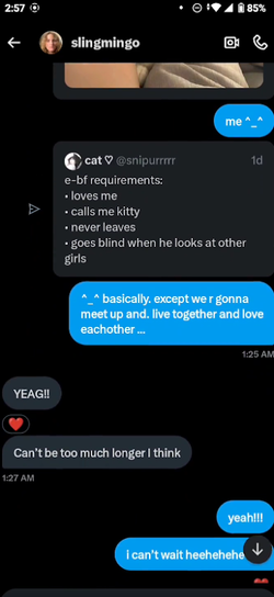 Sling Twitter DMs 3.webp Sling Twitter DMs 3.webp
