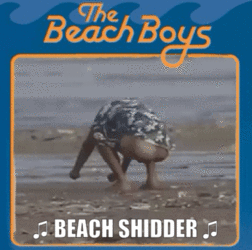 Classic Beach Boys.gif Classic Beach Boys.gif