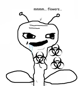 mmm flowers.webp mmm flowers.webp
