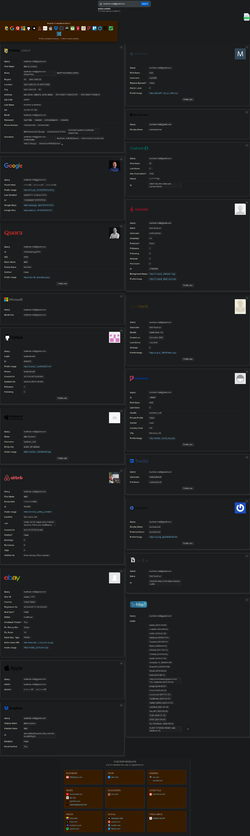 Screenshot 2025-08-13 at 18-59-13 OSINT Reverse Email Lookup.webp Screenshot 2025-08-13 at 18-59-13 OSINT Reverse Email Lookup.webp