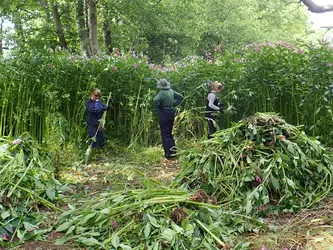 AdobeStock_253293215-small-1.webp AdobeStock_253293215-small-1.webp