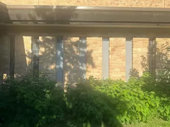 mn01.webp mn01.webp