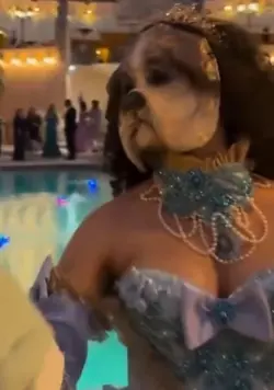1768494889799.png 1768494889799.png