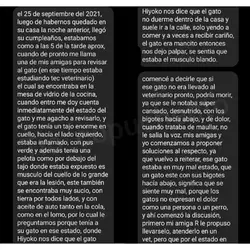 Testimonio p1.webp Testimonio p1.webp