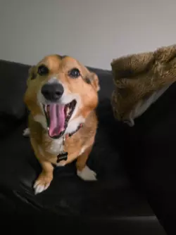 1771014979425.png 1771014979425.png