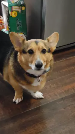 1771016640183.png 1771016640183.png