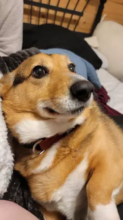 1771016769260.png 1771016769260.png