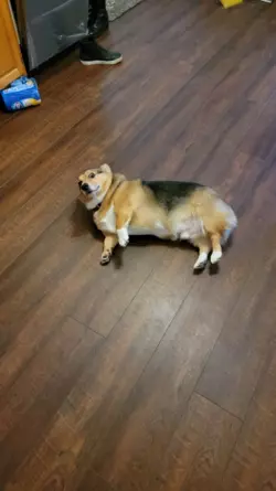 1771017670371.png 1771017670371.png