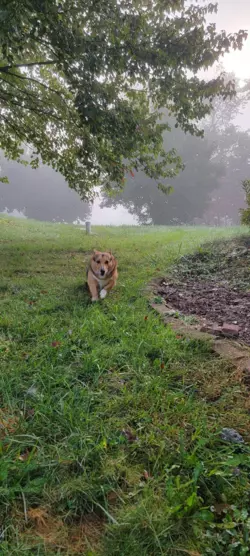 1771019209234.png 1771019209234.png