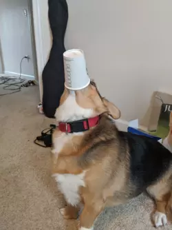 1771021426967.png 1771021426967.png
