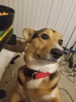 1771023391994.png 1771023391994.png