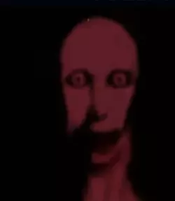 1771806677474.png 1771806677474.png