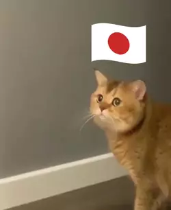 1775195887219.png 1775195887219.png