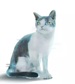 1776467027128.png 1776467027128.png
