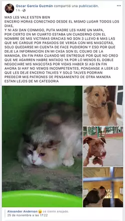 mascotas.jpeg mascotas.jpeg