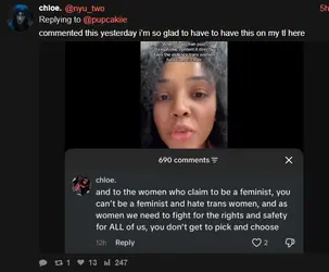 not a feminist 5.PNG not a feminist 5.PNG