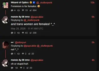 not a feminist 4.PNG not a feminist 4.PNG