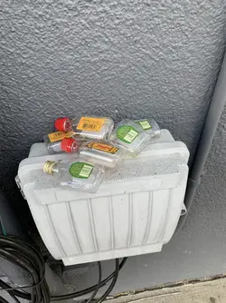 1781286594566.png 1781286594566.png