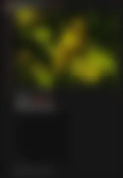 1782237964493.png 1782237964493.png