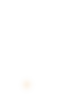 fireworkiwi.gif fireworkiwi.gif