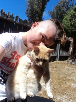 me_n__miss_cat_by_orange_zeppelin-d6phbno.jpg