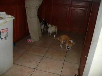 PICT0961.JPG
