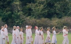midsommar face.jpg