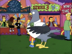 source.gif