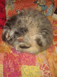 20200224_205922.jpg