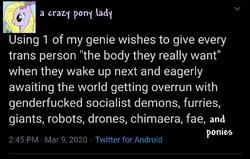 andponies.jpg