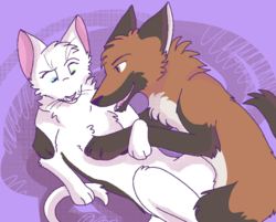 gay1.png