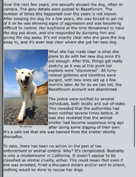 58C32E14-B76A-4718-91BA-78DA0BB263EA.jpeg