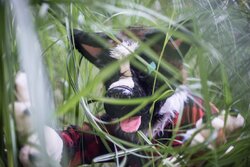 293d6dc0-5feb-4a05-96da-48fde188d159.jpeg