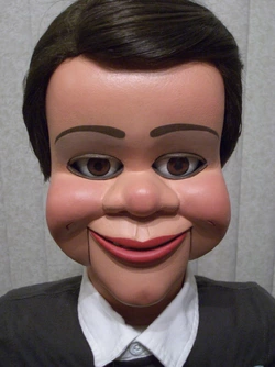 image.jpeg