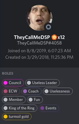 DSP-roles.png