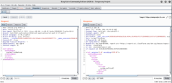 burpsuite from zoom.png