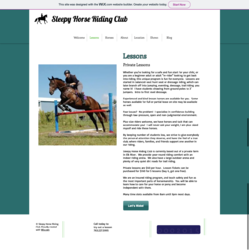 2020-05-14-23-27-sleepyhorse.wixsite.com.png