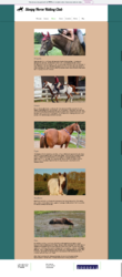 2020-05-14-23-29-sleepyhorse.wixsite.com.png