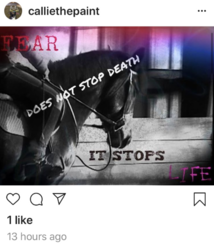 RPJemXN.png
