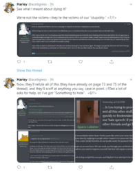 3.PNG