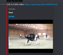 Screen Shot 2020-05-17 at 01.25.18.png