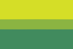 kiwi bi.png