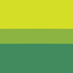 square kiwi bi.png