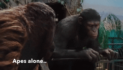 1837708B-F270-409A-986C-79C34D7BE55B.gif