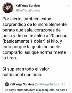casqueria 2.jpg