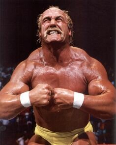 9c160e5ac92fb090a54a8b946acb6374--incredible-hulk-wrestling-party.jpg